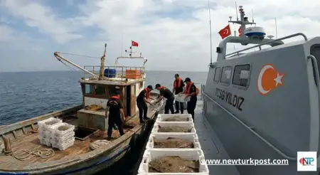 عملية في عرض البحر.. ضبط 850 كيلو سمك "كالكام" مهرب