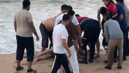الأمواج العاتية تحصد روحين على سواحل إسطنبول وكيركلاريلي رغم التحذيرات