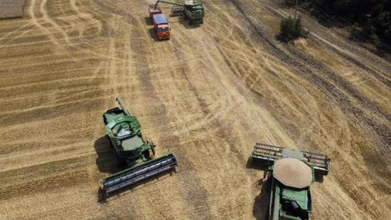 روسيا تواصل تصدير منتجات الحبوب بموجب تراخيص معينة