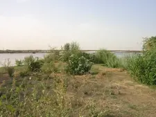 الآلية الخماسية بشأن السودان تزور الخرطوم لمشاورات سياسية
