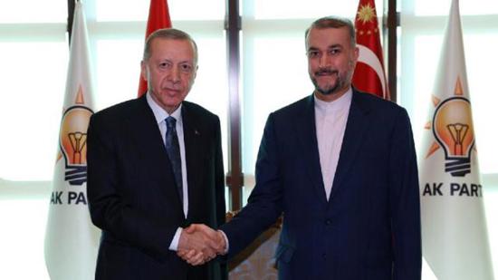 أردوغان يلتقي وزير الخارجية الإيراني في أنقرة
