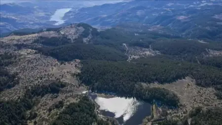 حظر الدخول إلى مناطق الغابات في أنقرة