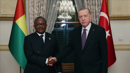 الرئيس أردوغان يلغي زيارته إلى غينيا بيساو