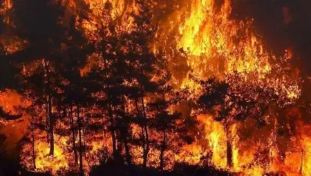 السيطرة على حرائق الغابات في ألانيا وموغلا… الوزير يعلن التحديث الأخير