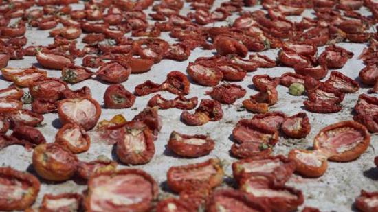 صادرات تركيا من الطماطم المجففة تقترب من 100 مليون دولار