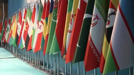  منظمة التعاون الإسلامي تعقد اجتماعًا استثنائيًا بسبب إهانة القرآن