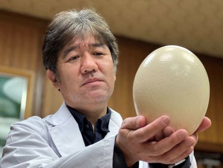 علماء يطورون أقنعة ذكية تكشف عن كورونا باستخدام بيض النعام