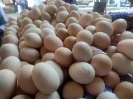 جدل واسع في تركيا عقب ارتفاع ملحوظ لأسعار البيض جدل واسع في تركيا عقب ارتفاع ملحوظ لأسعار البيض
