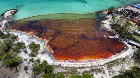 كارثة بيئية تحل على جزر البهاما.. تسرب نفطي يلوث سواحلها