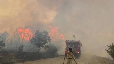 اندلاع حريق في أحد غابات ولاية جناق قلعة والفرق تتخذ الإجراءات اللازمة