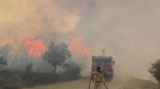 اندلاع حريق في أحد غابات ولاية جناق قلعة والفرق تتخذ الإجراءات اللازمة