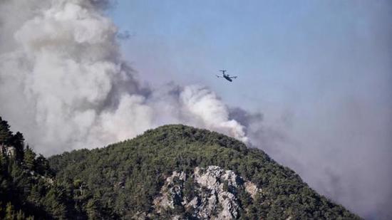 إخلاء 50 منزلاً بسبب حرائق الغابات في مرسين.. ووزير الزراعة يتفقد المنطقة