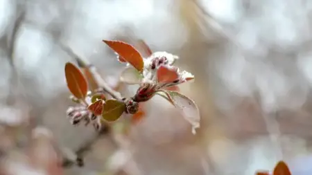 تحذير من الطقس البارد وموجة صقيع شديدة في إزمير