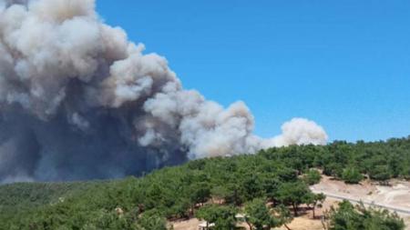 عاجل :اندلاع حريق غابات في أنقرة
