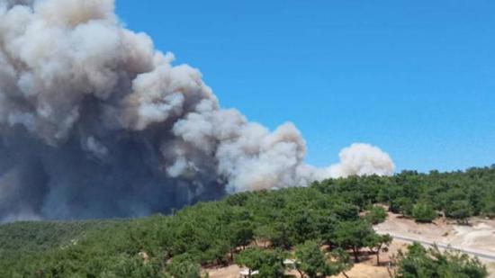عاجل :اندلاع حريق غابات في أنقرة