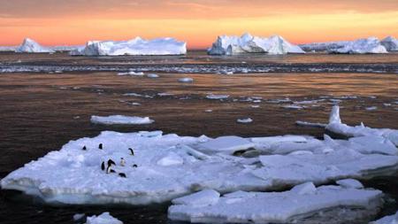 دراسة تكشف المصير الخطير لجليد القارة القطبية الجنوبية