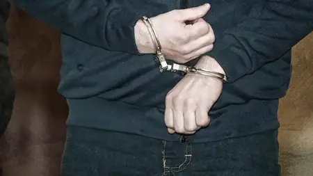 اعتقال تركي احتال على رجال أعمال بتقليد صوت الرئيس أردوغان