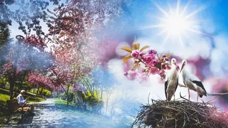 طقس عيد الأضحى 2025: أجواء حارة وأمطار متفرقة في بعض المناطق في تركيا