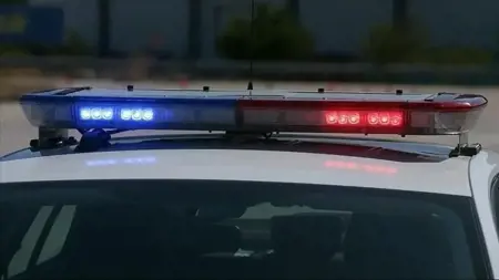 إحباط شبكة احتيال بملايين الليرات في هذه الولاية التركية