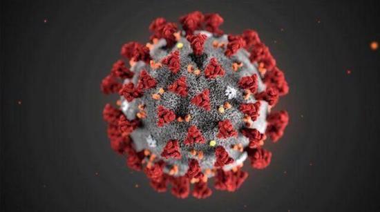 نظرية جديدة حول أصل فيروس كورونا