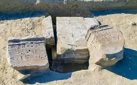 عتبٌ لرمسيس الثاني ومعبدٌ رئيسيّ.. اكتشافٌ أثريّ يحلّ لغز مدينة «مسن» المصرية المفقودة