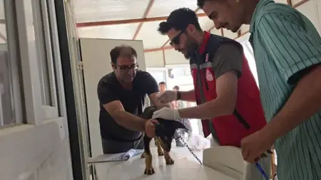 عاجل:أربعة أحياء في هاتاي تحت الحجر الصحي لهذا السبب