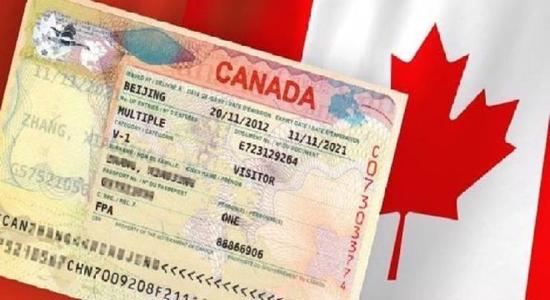 كندا تكافئ أكثر من 90 ألف أجنبي بإقامة دائمة