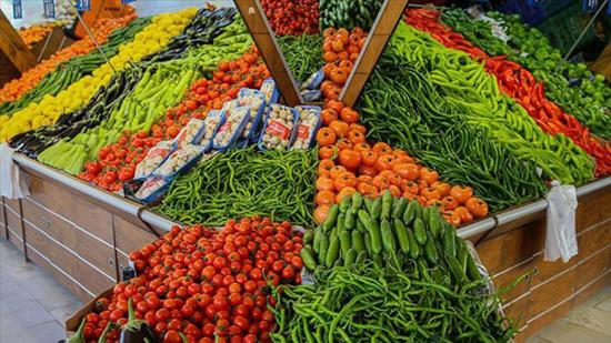 خريطة أسعار أغسطس: تذاكر الطيران الخارجي تقفز 56% والبيض 15.7%.. والفواكه الطازجة تهبط حتى 21.5%