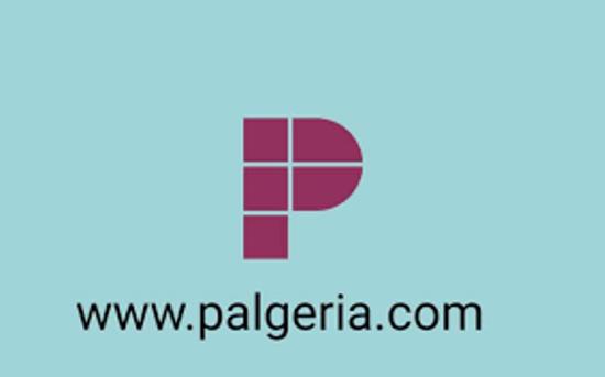 "Palgeria" موقع تواصل اجتماعي جزائري يتجاوز الانحياز ضد فلسطين