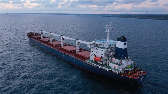 الرئيس التركي: 20 سفينة محملة بالحبوب تنتظر دورها للشحن من أوكرانيا