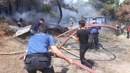 حريق في أحد غابات منطقة مالتيب في إسطنبول
