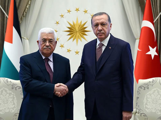 أردوغان يجري مكالمة هاتفية مع الرئيس الفلسطيني محمود عباس
