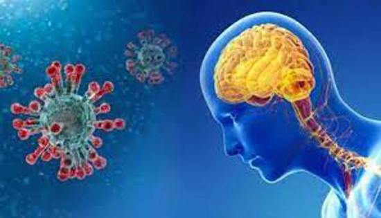 كيف تؤثر الإصابة بفيروس كورونا على الدّماغ؟