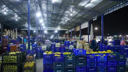 صادرات الفاكهة الطازجة التركية تتجاوز مليار دولار خلال 7 أشهر لأول مرة
