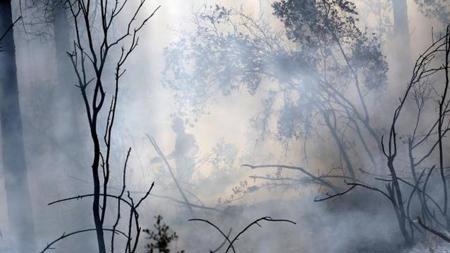 اندلاع حريق هائل في غابات ولاية موغلا التركية