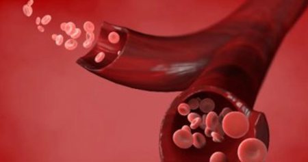 ما هي أهمية معرفة فصيلة الدم؟
