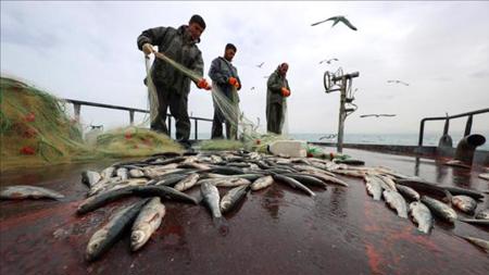  حظر الصيد في بحيرة وان شرقي تركيا 