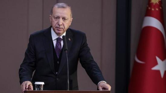 الرئيس أردوغان يعلن مناطق حرائق الغابات "منكوبة"
