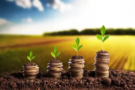 لماذا تعد تركيا من البلدان الرائدة في مجال الاستثمار الزراعي؟