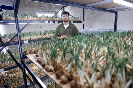 شاب تركي يزرع الزعفران في 14 مترًا ويحقق دخلاً يصل لشراء منزل