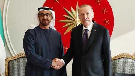 أردوغان يستقبل رئيس الإمارات في اسطنبول