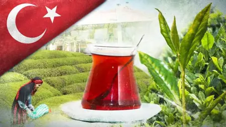 صادرات الشاي التركي تحقق قفزة نوعية في يناير 2025 صادرات الشاي التركي تحقق قفزة نوعية في يناير 2025