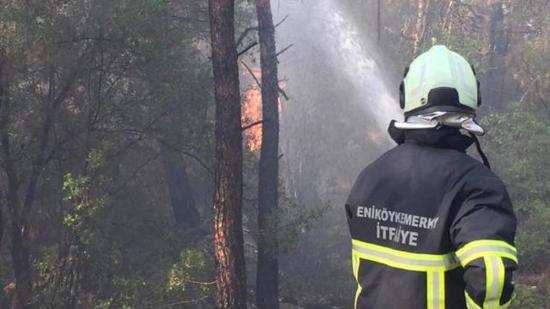 نجاح عملية إخماد حريق غابات ولاية موغلا التركية