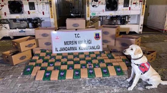 وزير الداخلية التركي: ضبط كمية ضخمة من الكوكايين في ميناء مرسين