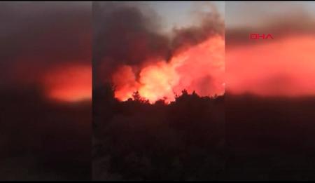 اندلاع حريق ضخم في غابات إزمير غربي تركيا