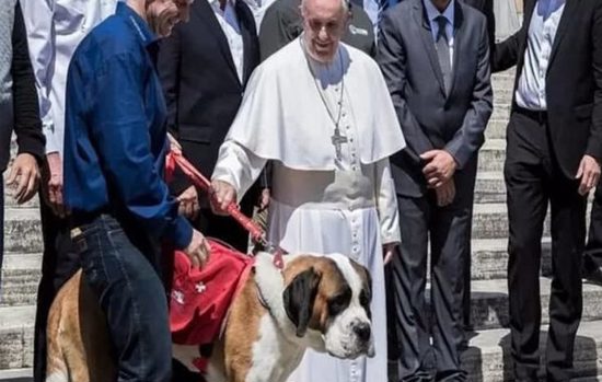 بابا الفاتيكان: تربية القطط والكلاب بدلا من إنجاب الأطفال "أنانية"