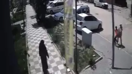 كلاب ضالة تهاجم أمًا وابنتها في غازي عنتاب