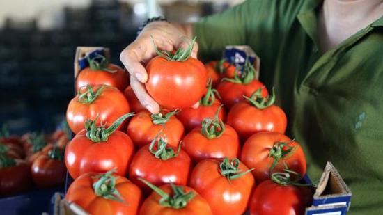  الخضروات والفواكه الأكثر استهلاكا من قبل سكان "أنقرة" لعام 2022