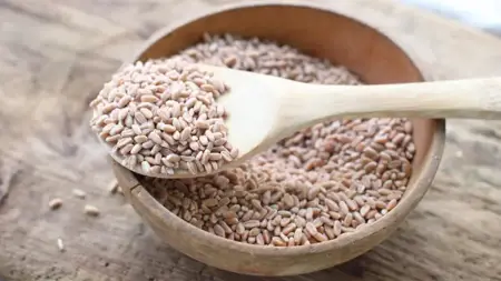 ارتفاع عالمي كبير في أسعار القمح خلال يوم واحد