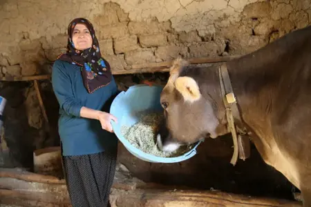 حيةٌ ترزق ولكن ميتة لدى السلطات التركية.. تعرف على قصة نعيمة غوجيباكان